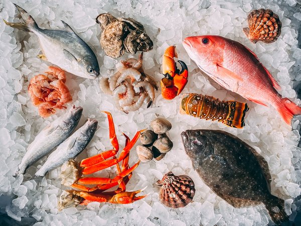 Les fruits de mer : Richesse nutritionnelle, histoire fascinante et recettes exquises